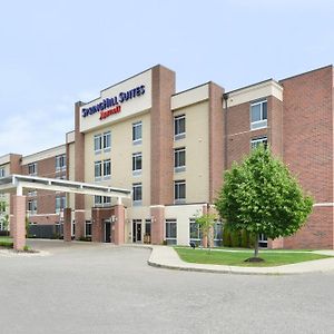 Springhill Suites By Marriott Detroit Metro Airport Romulus